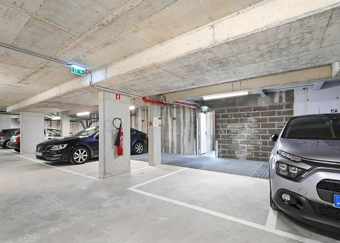 On - Cozy - Free Parking & Pet Friendly * Porto